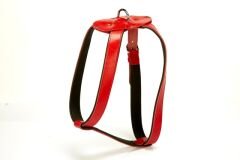 Doggie Konforlu Deriden El Yapımı Köpek Göğüs Tasması 2,5 x 60-85 cm Kırmızı