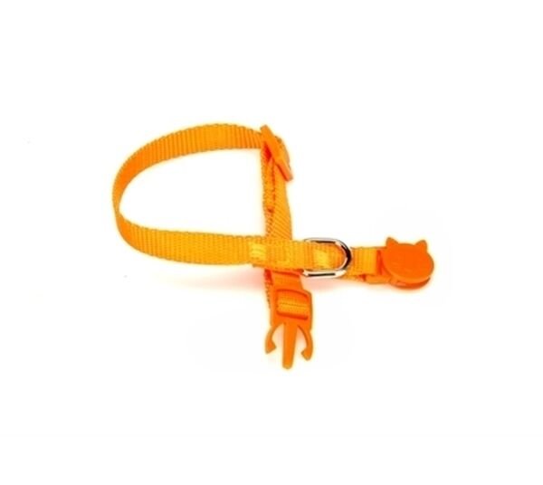 Doggie Kedi Boyun Tasması 1 cm x 30 cm Turuncu