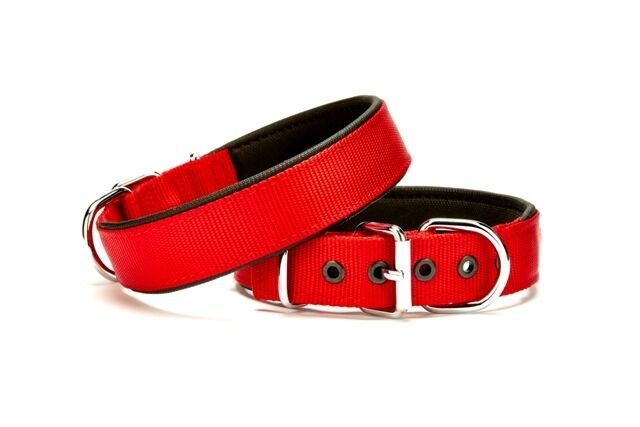 Doggie Köpek Tasması Softlu 3 cm x 65 cm Kırmızı