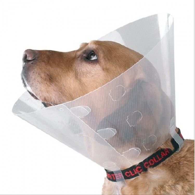 Elizabeth Köpek Yakalığı Medium 20cm ø/ 38-40cm