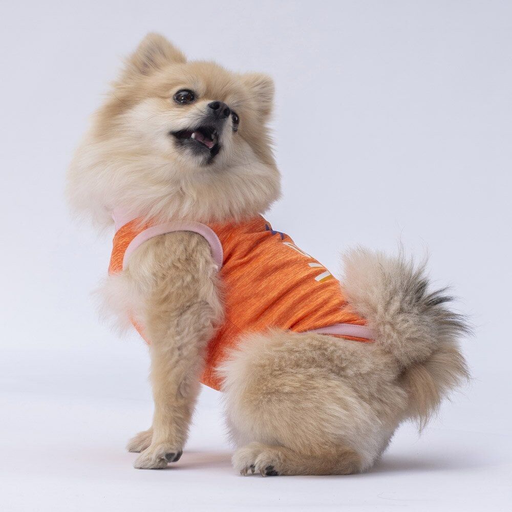 Pawstar Orange Joy Tişört Small 23x24x37 cm