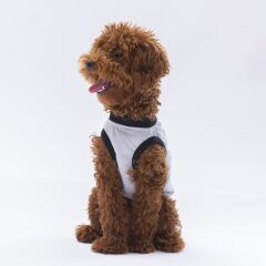 Pawstar Grey Travel Tişört Large 30x33x46 cm