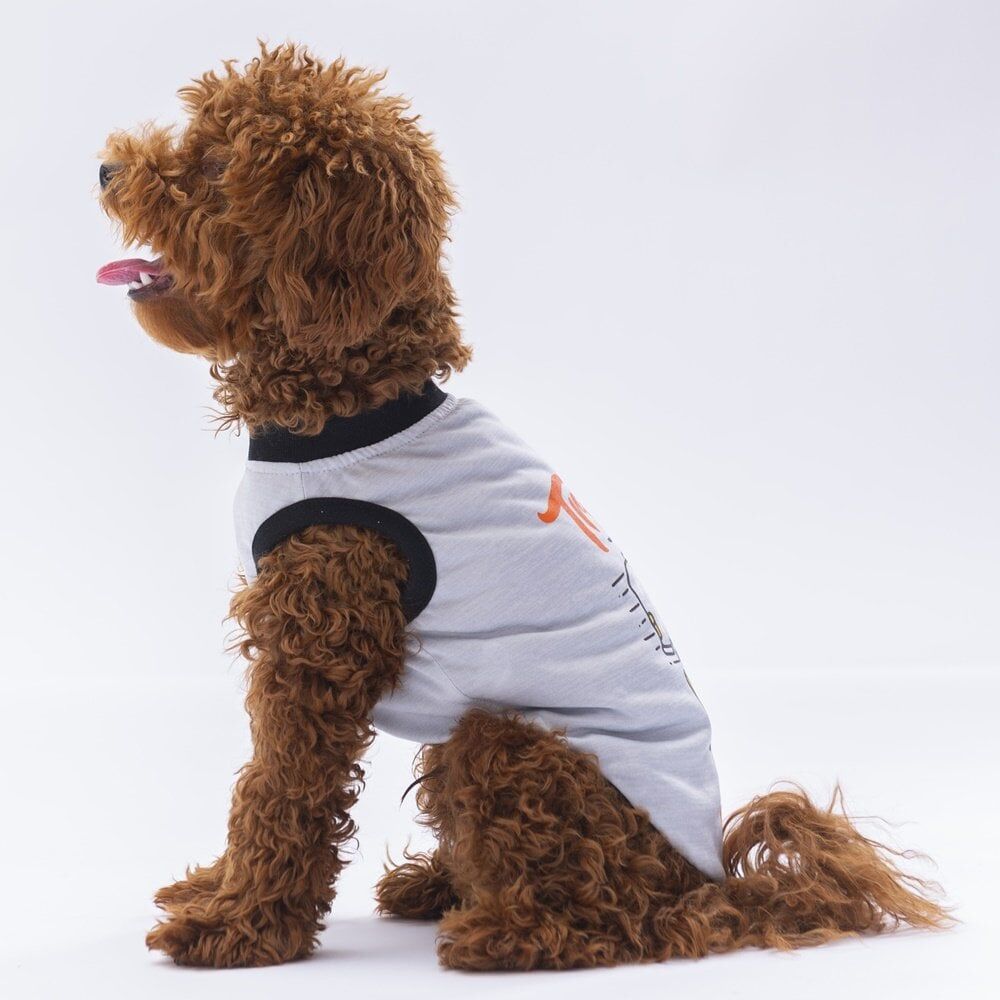 Pawstar Grey Travel Tişört XXLarge 38X43X58 cm