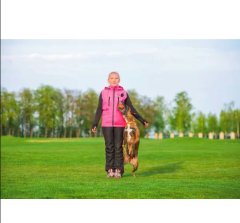 Collar Liker Magnet Köpek Eğitim ve Oyun Topu 9x30cm (Turuncu)