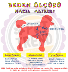 Ekose Köpek Papyonu 26-56 Cm