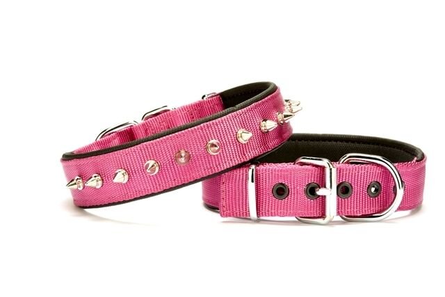 Doggie Çivi Desenli Köpek Tasması 3*55 cm Mor