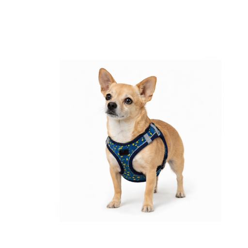 KÖPEK AKSESUARLARI
