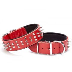 Doggie Ektsra Çivili Köpek Boyun Tasması 5x50-60 cm Kırmızı