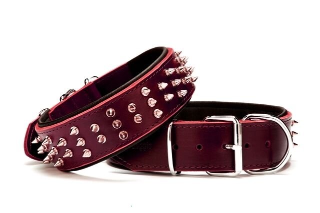 Doggie Ektsra Çivili Deri Köpek Boyun Tasması 5x60-70 cm Kırmızı