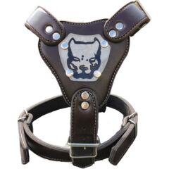 Gladyatör Deri Köpek Göğüs Tasması XL 60*80 cm