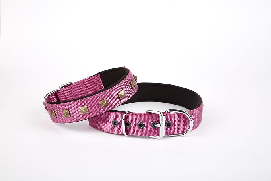 Doggie Piramit Desenli Köpek Tasması 3*42-50 cm Mor