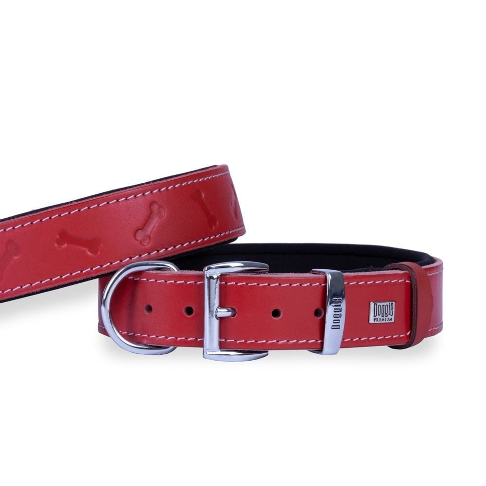 Doggie Kemik Desenli Deri Köpek Boyun Tasması 3,5x52x60 cm Kırmızı