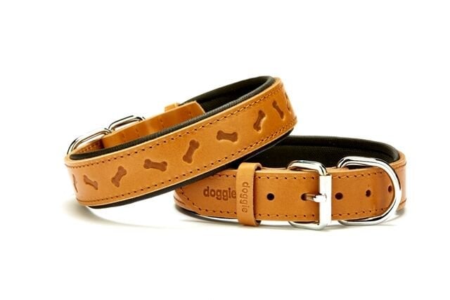 Doggie Kemik Desenli Deri Köpek Boyun Tasması 3x42x50 cm Kamel