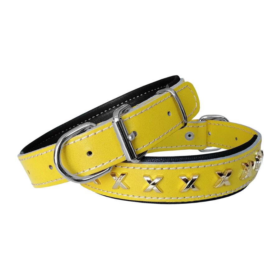 Markapet Deri Metal İşlemeli Köpek Boyun Tasması 2,5 x 40-50 cm Sarı