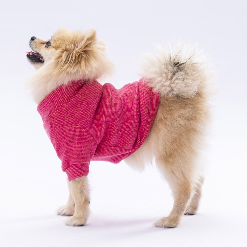 Pawstar Pembe Merino Sweat XXarge 38X43X58 cm