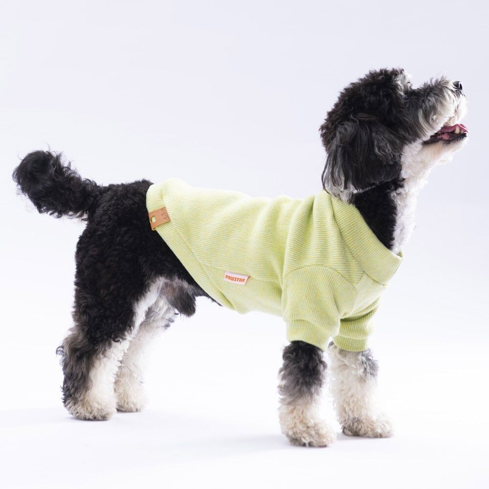 Pawstar Yellow Merino Sweat Medium 26x28x41 cm