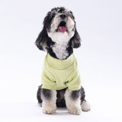 Pawstar Yellow Merino Sweat XXarge 38X43X58 cm