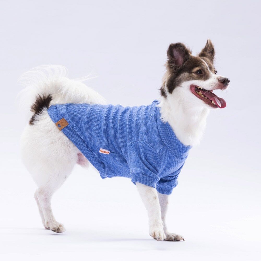 Pawstar Blue Merino Sweat Medium 26x28x41 cm