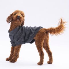 Pawstar Black Merino Sweat Medium 26x28x41 cm