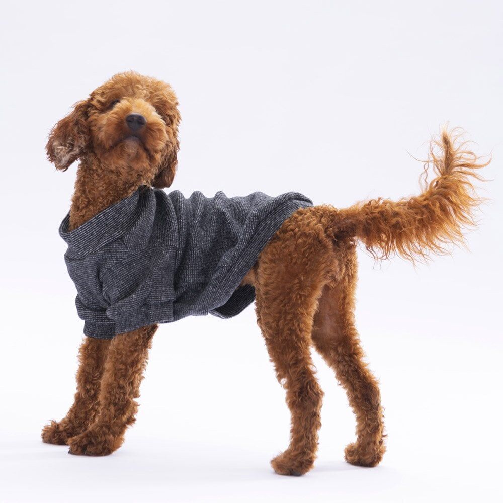 Pawstar BlackMerino Sweat X Large 34X38X55 cm