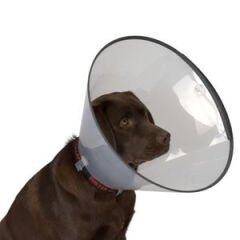 Elizabeth Köpek Yakalığı 30 cm