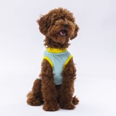 Pawstar Mint Sunrise Tişört Small 23x24x37 cm