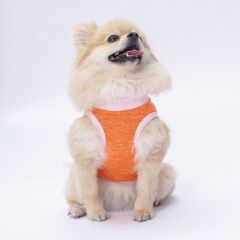 Pawstar Orange Joy Tişört Medium 26x28x41 cm