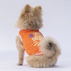 Pawstar Orange Joy Tişört Medium 26x28x41 cm