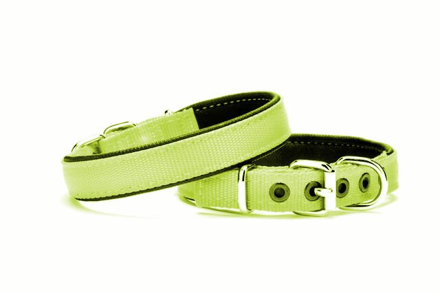 Yumuşak Doku Köpek Boyun Tasması 3,5/65 cm Yeşil