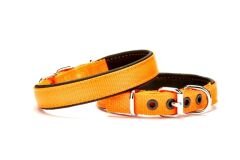 Yumuşak Doku Köpek Boyun Tasması 2/45 cm Turuncu
