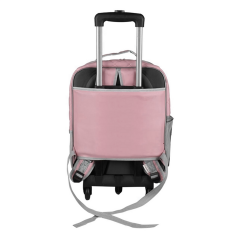 Markapet Deri İşlemeli Tekerlekli Kedi Köpek Taşıma Çantası 25x35x40 cm Açık Pembe