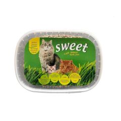 Cado Pet Naturel Yavru kedi çimi