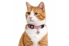 Kedi Köpek Tasması Reflektörlü ve Zilli