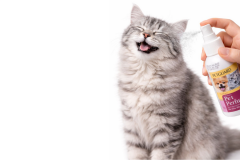 Kedi Köpek Parfümü 100 Ml