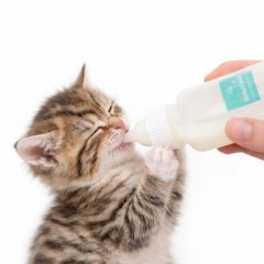 Nunbell Biberon 100 ml Yavru Kedi ve Köpekler İçin