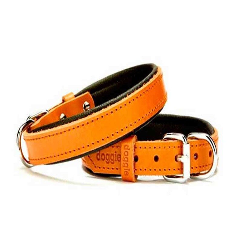 Doggie Comfort Deri Köpek Boyun Tasması 1,5x 25-33 cm Camel