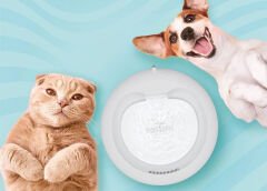 Cattie Kedi Köpek Su Pınarı Klasik Model 2,5 L Yeşil