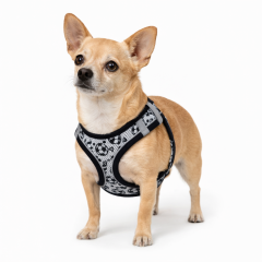 Köpek Taraftar Göğüs Tasması  Beşiktaş