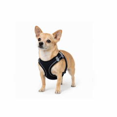 Köpek Siyah Göğüs Tasması