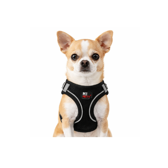 Köpek Siyah Göğüs Tasması