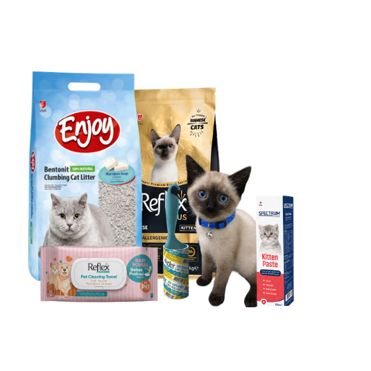 Siamese Yavru Kedi Bohçası