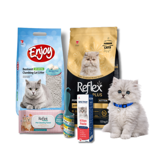 Persian Yavru Kedi Bohçası