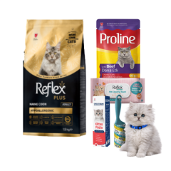 Maine Coon Yetişkin Kedi Bohçası