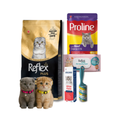 Scottish Fold Yetişkin Kedi Paketi