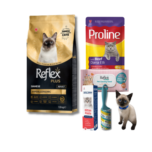 Siamese Yetişkin Kedi Bohçası