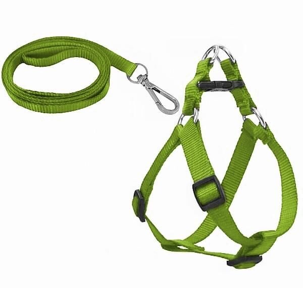 Köpek Göğüs Tasma Seti 30-50 cm Yeşil + Gezdirme Kayışı