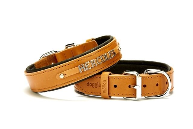 Doggie Deri İsimlikli Köpek Tasması 3x42-50 cm Kamel