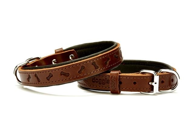Doggie Kemik Desenli Deri Köpek Boyun Tasması 2x35x40 cm Kahverengi