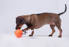 Collar Liker Cord 5 Küçük Irk ve Yavru Köpek Eğitim Oyuncağı 5 Cm
