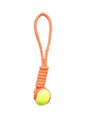 Markapet İpli Dental Köpek Oyun ve Eğitici Topu 6 cm - 35 cm Turuncu